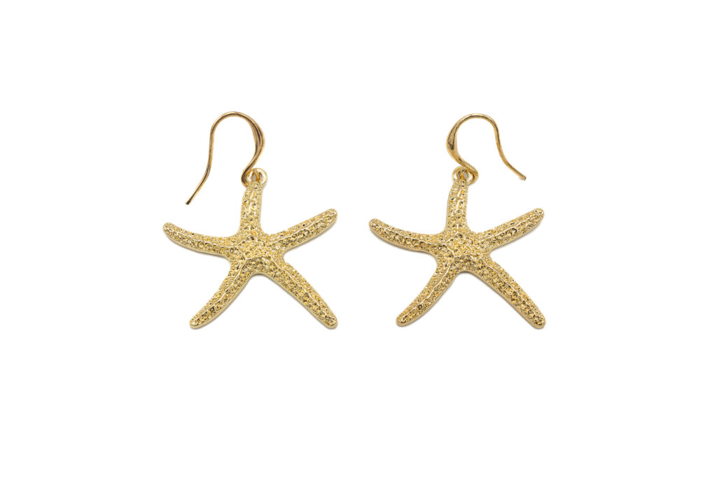 Σκουλαρίκια Seastar